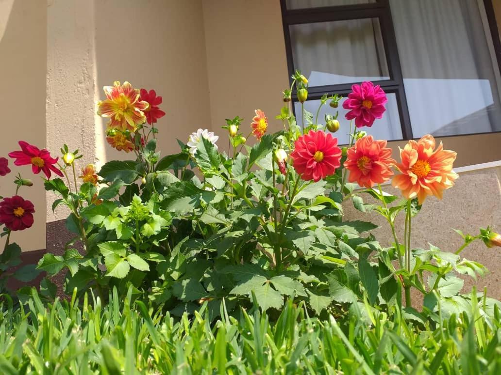Styled Bed And Breakfast Palapye Екстериор снимка